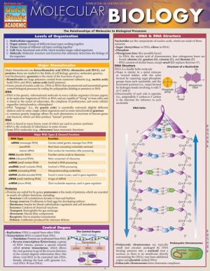 Molecular Biology Study Aid (SKU 12191031101)