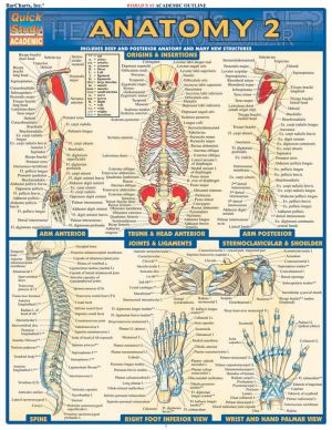 Anatomy 2 Study Aid (SKU 11075127101)