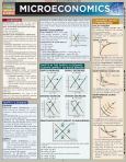 Microeconomics (Update) Study Aid