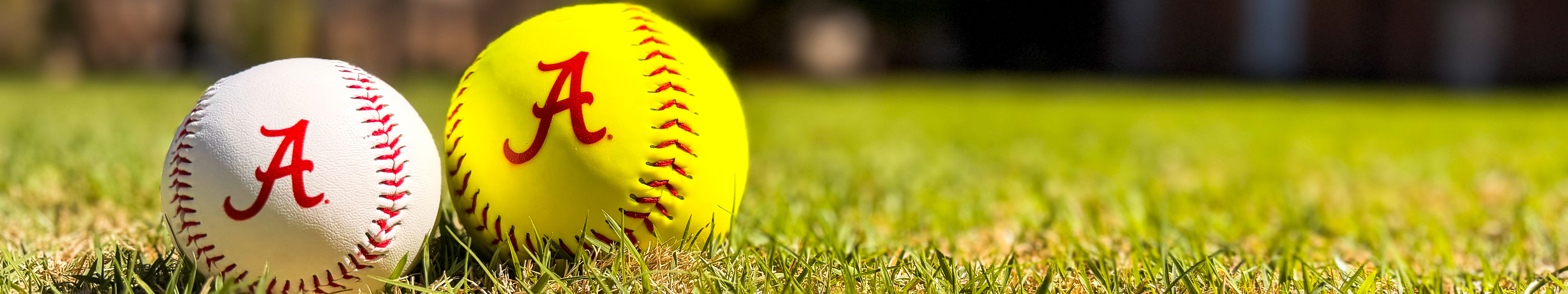 Spring Sports are in Full Swing!