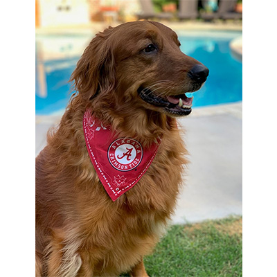 ALABAMA DOG BANDANA