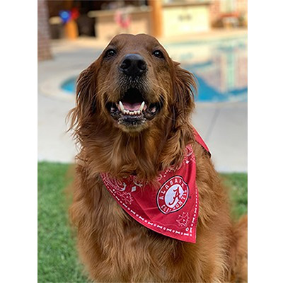 ALABAMA DOG BANDANA