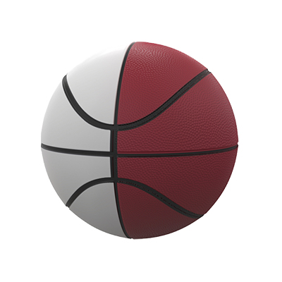 ALABAMA RED & WHITE PANEL BASKETBALL