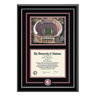 Diploma Frame Stadium Scene Spirit Medallion In Onyx Silver Moulding