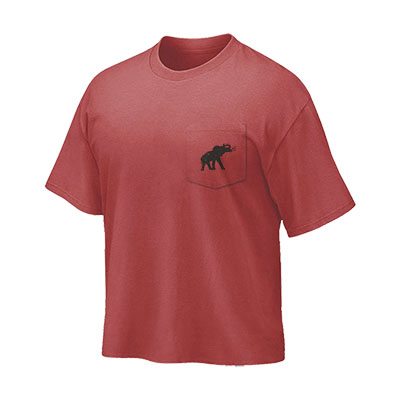 ALABAMA HAVE A ROLL TIDE DAY T-SHIRT