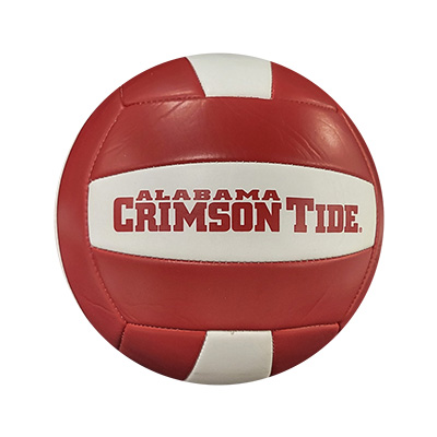 Alabama Composite Volleyball