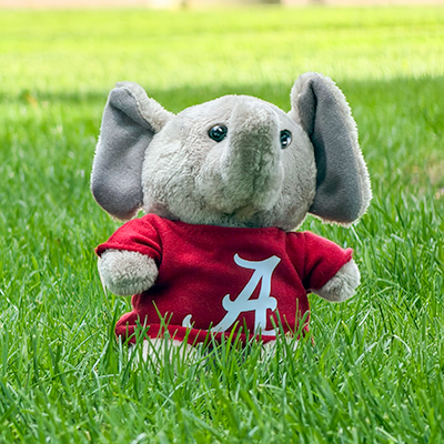 Alabama Elephant Stubbie With T-Shirt - main view