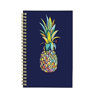 ACADEMIC WEEKLY/MONTHLY PLANNER PINEAPPLE NAVY