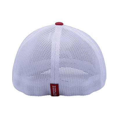 ALABAMA SCRIPT A 5-PANEL MID-PROFILE CURVED BILL CAP