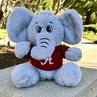 Elliott Elephant With Script A Sweater
