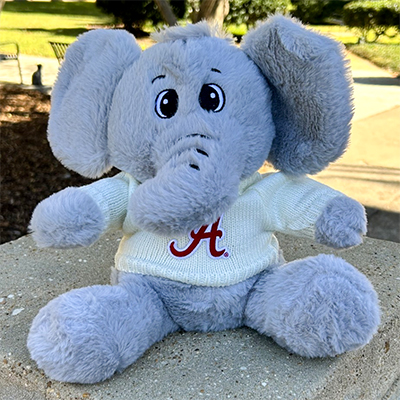 Elliott Elephant With Script A Sweater
