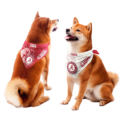Alabama Home/Away Pet Bandana - main view