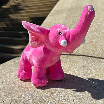 Pink Elephant
