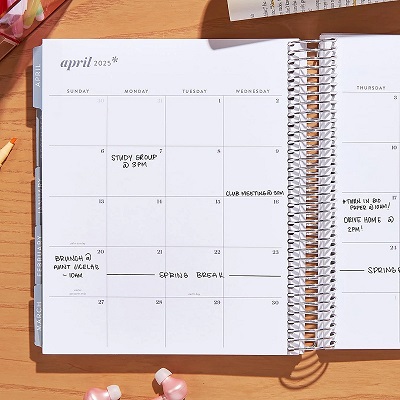 ACADEMIC PLANNER CELESTIAL SHIMMER COILED ERIN CONDREN