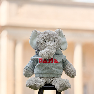 Bama Elephant Cuddle Buddy W/ Hoody* - main view