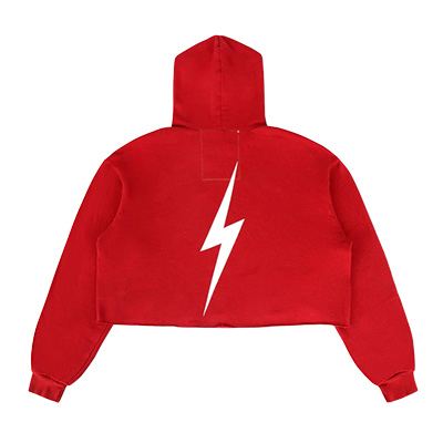ALABAMA SCRIPT A CROPPED PULLOVER HOODIE -  3