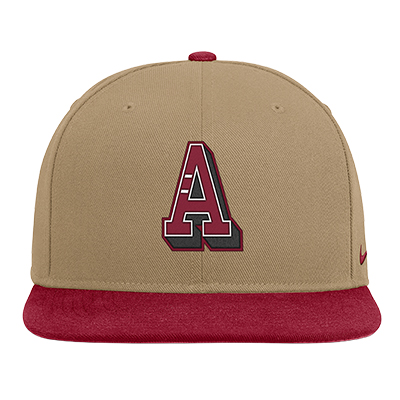 Alabama Nike Dri-Fit Pro Prep Snapback Cap - main view