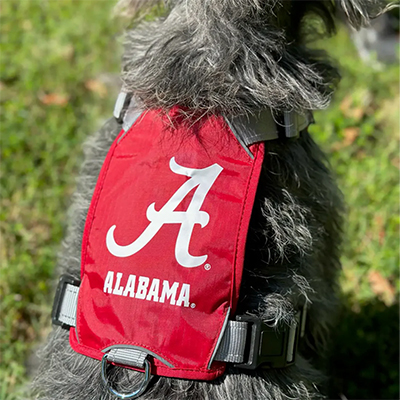 Crimson Tide Dog Harness - main view