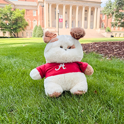 Alabama Puppy Chubby Wubby - main view