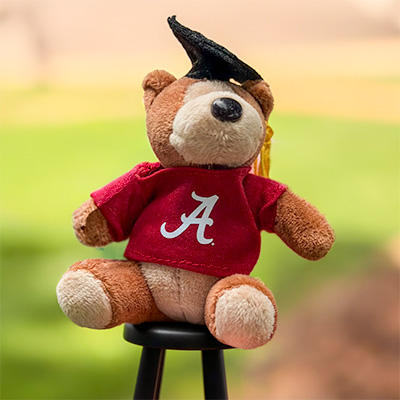 Grad Bear Keychain - main view