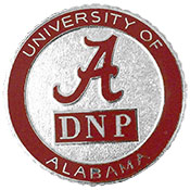 DNP Nursing Pin Sterling Silver